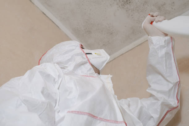 Best Professional Mold Removal  in Bloomfield, IA