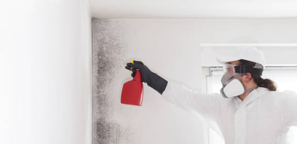 Water Damage Restoration in Bloomfield, IA