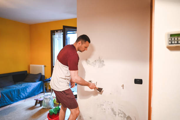 Best Mold Remediation Experts  in Bloomfield, IA